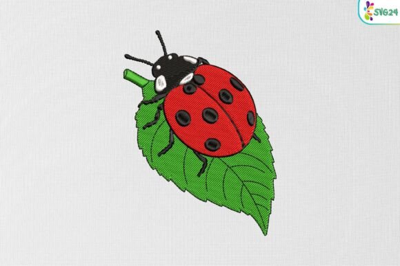 Ladybug on Leaf